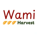 Wami International Co Limited